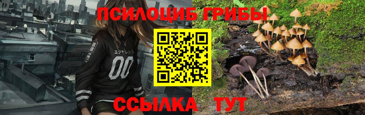 Нерюнгри  Псилоцибиновые грибы MAGIC MUSHROOMS  Вход с VPN 